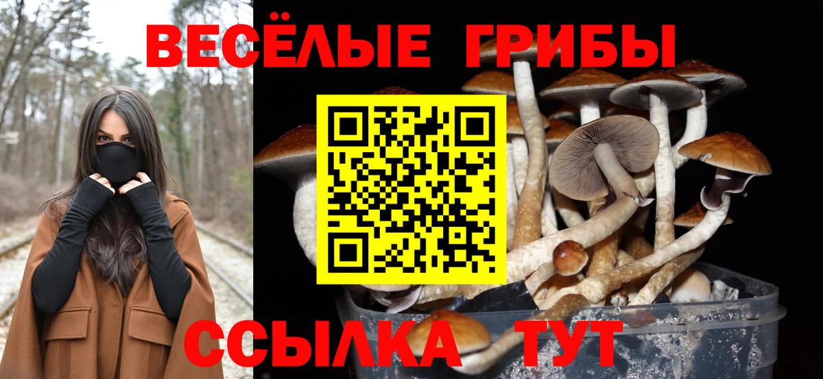 Псилоцибиновые грибы Cubensis  Вход с VPN  Ипатово  Псилоцибиновые грибы MAGIC MUSHROOMS 